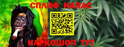 СК Будённовск