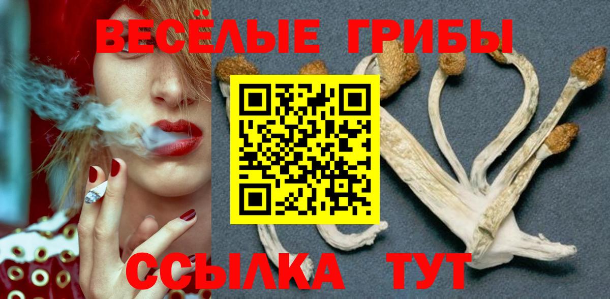 Берёзовский  Галлюциногенные грибы Cubensis  Вход с VPN 