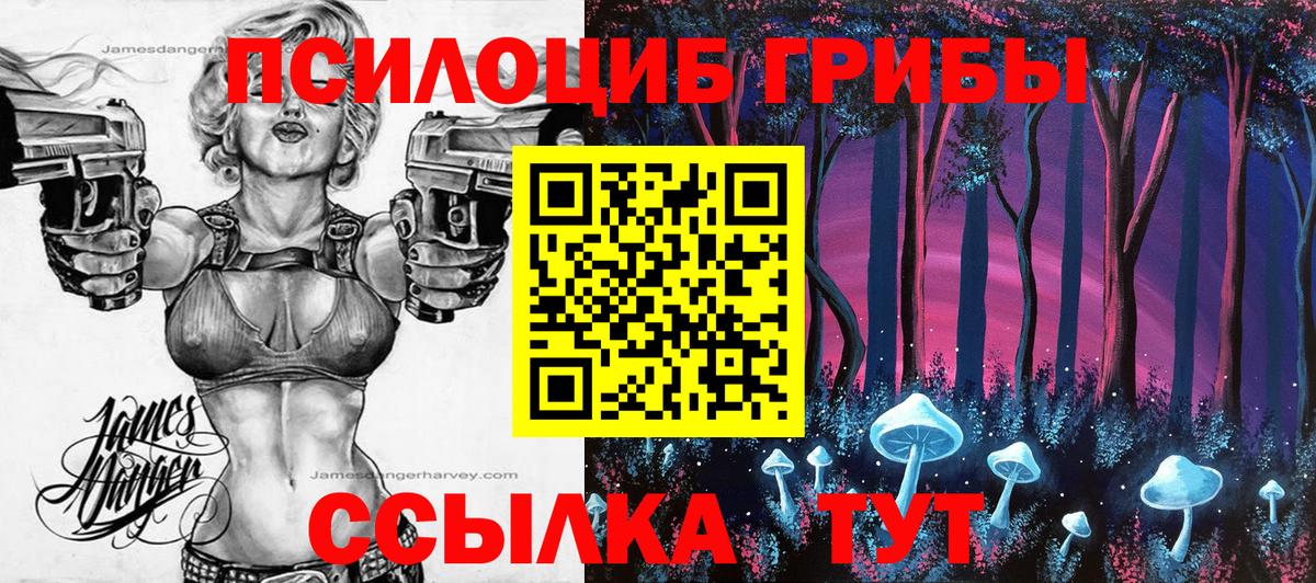 Галлюциногенные грибы мицелий Берёзовский